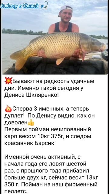 История одной рыбалки 🎣 #рыбачусудачей