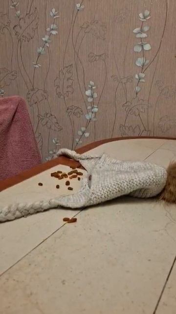 шапка