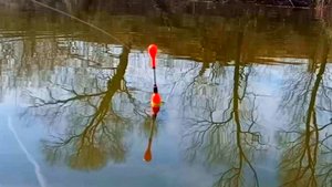 Рыбалка на поплавочную удочку в апреле