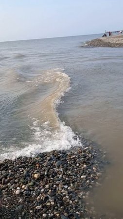 Мзымта и Чёрное море
