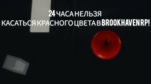 24 ЧАСА НЕЛЬЗЯ КАСАТЬСЯ КРАСНОГО ЦВЕТА В BROOKHAVEN RP!
