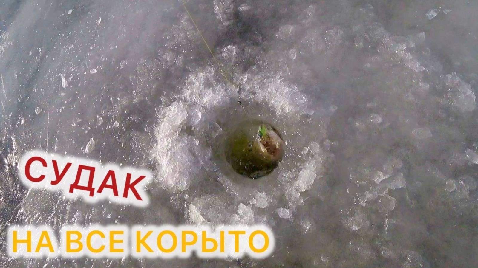 У НАС 80 % ЛОВИТ🔥 ТОЛЬКО НА ЭТУ СНАСТЬ рыбалка зимой смотреть онлайн