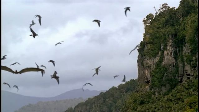 Walking with Dinosaurs [1999] - Caulkicephalus Screen Time смотреть онлайн