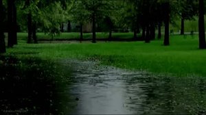 Звук дождя для сна и релакса