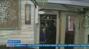 Ставропольское вино из Предгорного округа признали лучшим на международном уровне