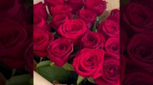 Розы красные 21шт 70см