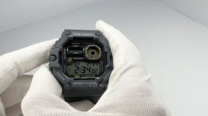 Обзор часов Casio Vintage WS-1700H-8A