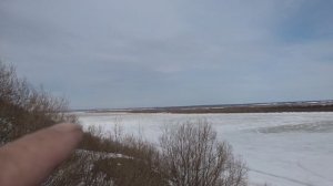 Новодвинск Северная Двина Остров Ягодник19г