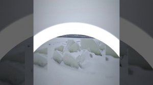 Февраль в Новосибирске.