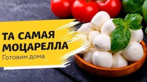 ДОМАШНИЙ СЫР! Вкус как у Моцареллы! Самый Простой Рецепт Сыра у Вас Дома! Вкусные Рецепты от Аллы!