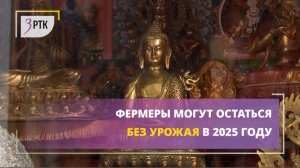 Фермеры могут остаться без урожая в 2025 году