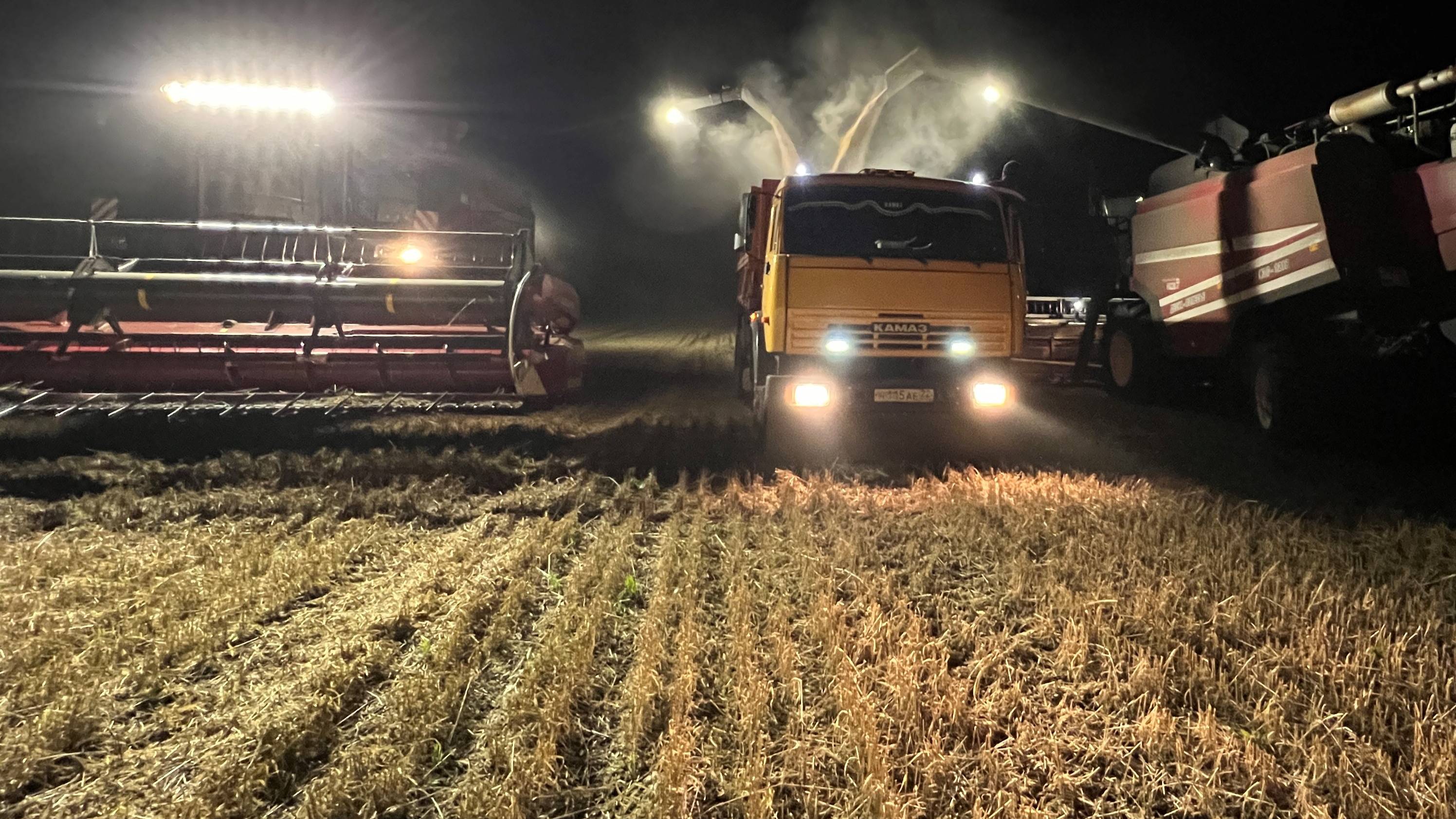 Молотим чечевицу и пшеницу смотреть онлайн