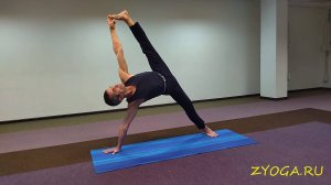 Переход из Чаматкарасаны в Васиштхасану / Transition from Chamatkarasana to Vasisthasana
