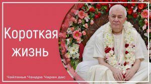 Короткая жизнь