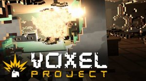 Voxel Project VR