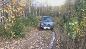 Что там на пасеке...