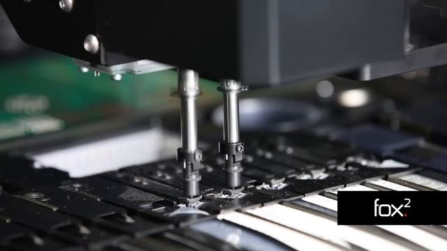 Essemtec Application - Puma and Fox on the hunt смотреть онлайн