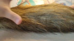 Обзор хвост для квадробики