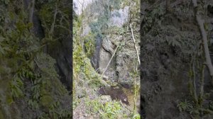 Водопады на реке Морозка ,Апшеронский район ,Краснодарского края