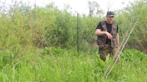 Ловля чечевицы 18052014