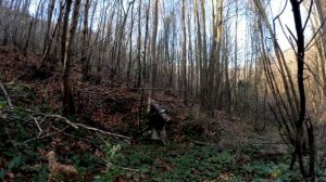 Одиночное выживание в лесу, кемпинг в дикой природе, приготовление пищи на костре