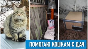 Продолжаю кормить для брошенных на дачах кошек. Новости по домикам. Готовлюсь (морально) к весенней