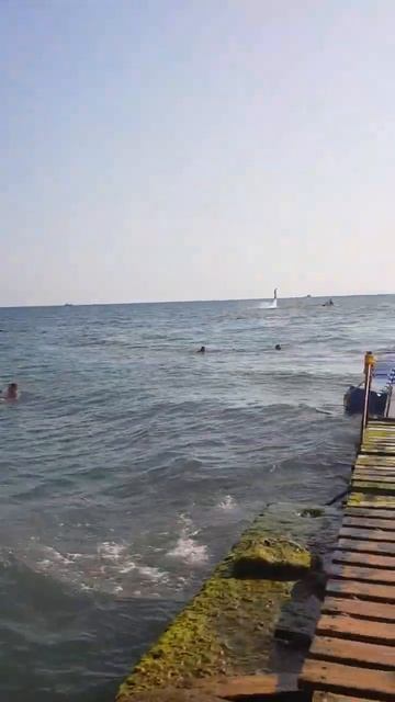 02.08.23 Пляж Чайка. Адлер. Битком. Жара. 😱#short, #shorts, #адлер, #пляж, #жара смотреть онлайн