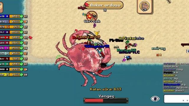 20.10.2023 klan coop. Pocket ants. смотреть онлайн