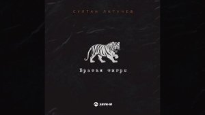 Султан Лагучев - Братья тигры | Премьера трека 2024