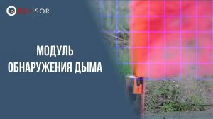 Модуль обнаружения дыма. Revisor VMS
