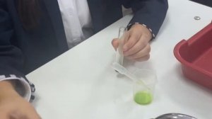 #46 ЖОББМ Болатова М.Б Зерт жұмыс.Фотосинтездеуші пигменттердің болуын зерттеу.11 сынып биология