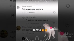 Дп из Лайка