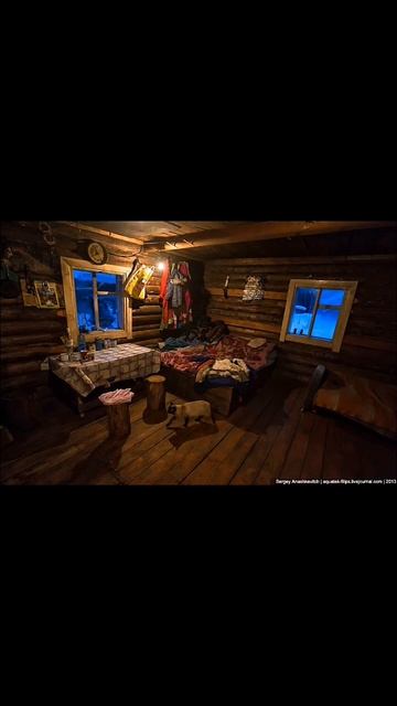 #киш #лесник смотреть онлайн