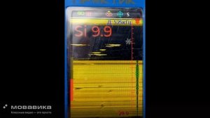 Эховизор Практик 8 3