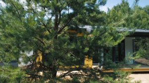 Одноэтажный дом Сканди 174 от IZBURG