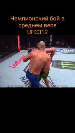 Чемпионский бой #ufc312