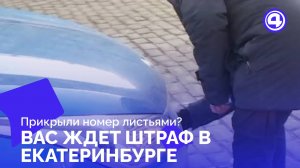 Екатеринбург борется с нечитаемыми номерами: последствия для водителей