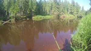 Рыбалка на таежной речке. Без рыбы не остался