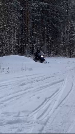 Дед с внуком на снегоходе