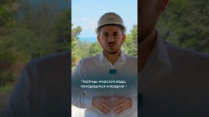 «Нескучный сад»: лечебные свойства воздуха и дендро-культур в экологичном районе Сочи