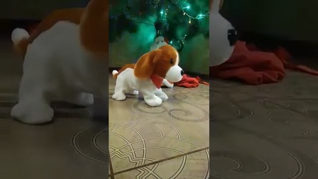 Символ 2018 года смотреть онлайн