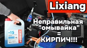 Lixiang - залил неправильную омывайку получил кирп