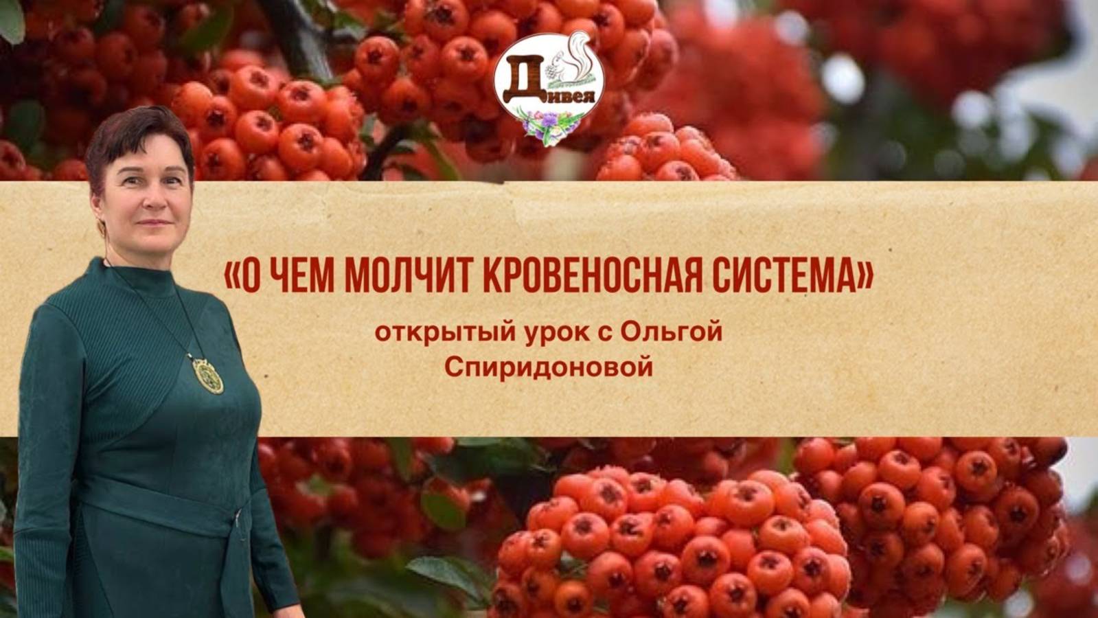 NEW! Открытый урок по кровеносной системе с травницей. Важная информация! Доступ до 2.11.2023. смотреть онлайн