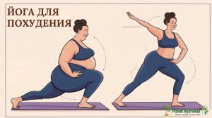 Йога для похудения: лучшие асаны для снижения веса