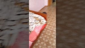 закулисье в реальной жизни