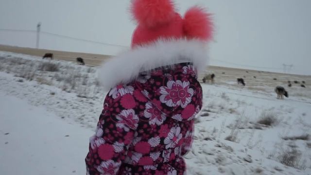 Папа уехал Едем в гости вместе со свинкой Хостей We go on a visit together смотреть онлайн