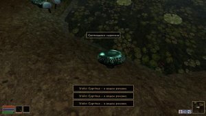 Morrowind part № 1