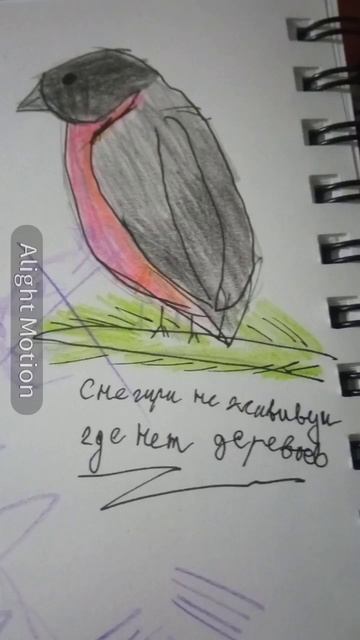 просто снегирь смотреть онлайн