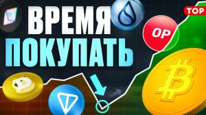 Я Покупаю Эти Альткоины Перед Тем Как Биткоин Снова Будет 100к