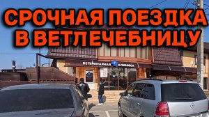 821ч Жизнь семьи на юге/Рецепты приготовления теста/Обзор, чем мы занимаемся после переезда